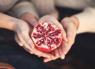 عزة علامة وملهمات أخريات