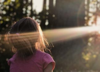 زي الهوا ونور الشمس زي الهوا