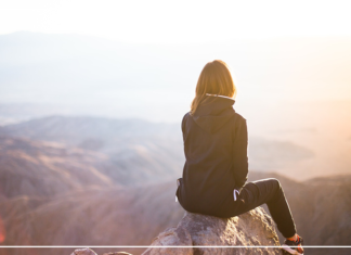 انتصار ما بعد الهزيمة النكراء survivor