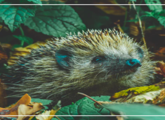 أفضل نصائح لنجاح العلاقة العاطفية بينك وبين شريك حياتك والمسافة الآمنة بينكم