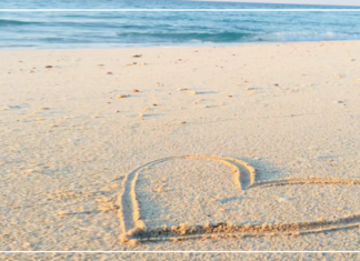 الحب وحده لا يكفي