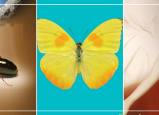 5 روايات مترجمة غيرت نظرتي للحياة