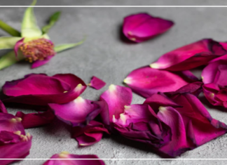 إحنا اتنين مش واحد