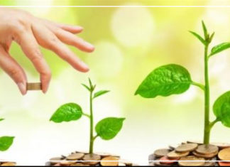 دليل المرأة المعيلة لتمويل المشروعات الصغيرة