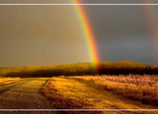 إلى كل النساء اللاتي لم يحالفهن الحظ في 2107