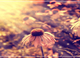 8 خطوات للتعافي من المرض النفسي