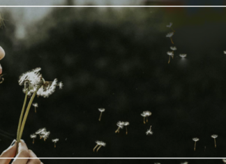 إلى فارس أحلامي المنتظر