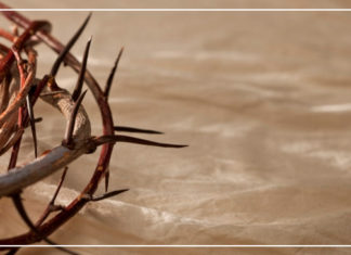 يا عام الآلام المجيدة.. وداعًا