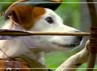 تشتري كلب؟ لا.. عايزة آلة زمن