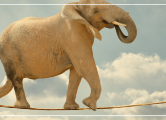 كيف استطعت أن أوفق بين أمومتي وحياتي