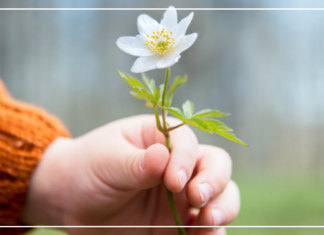 كابوس العنف ضد المرأة.. متى ينتهي؟!