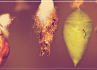 بحثًا عن ثقب خارج الاكتئاب