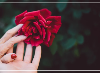 السيدة الصامتة أخبرتني.. لا شيء محض صدفة