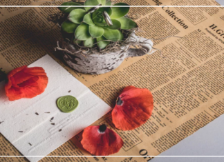 لقاء واعتذار وأشياء أخرى