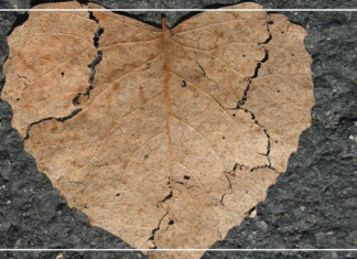 قائمة الأمنيات المستحيلة