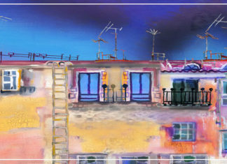 جاري الهدهد الجميل