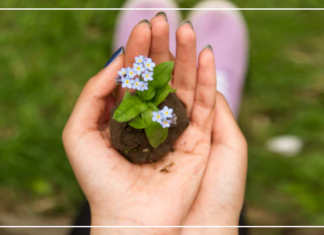 اللي فات مات