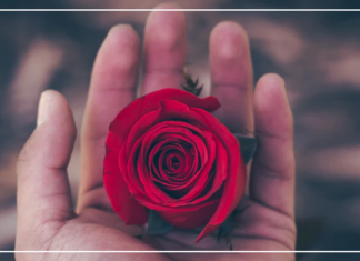 وما الحب إلا…