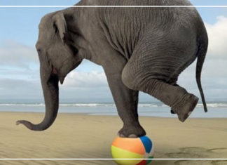 وهم الاستقرار