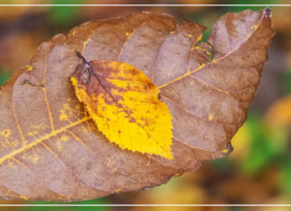 30 يوما للتغلب على الاكتئاب