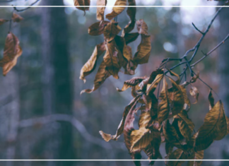 حتى وإن لم يكن للعزاء معنى