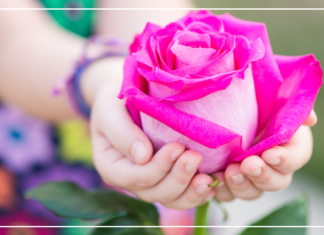 اسطور عودة الغائب أحد أيام ديسمبر ما حقيقتها