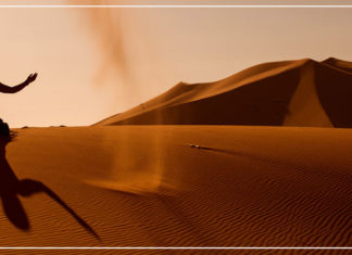 الواحة التي غيرت حياتي