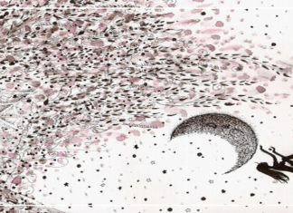 عدة وجوه للحزن.. اختفى وجهي بينها