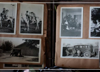 الداعم الأول