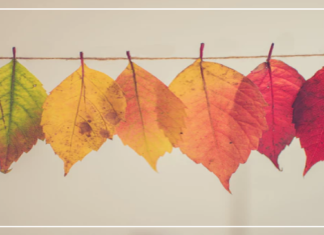 مكان بطعم الشغف