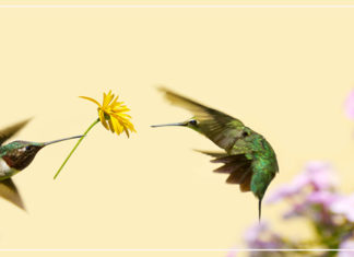 الحب كلمة حلوة جدًا