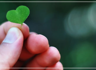 15 خط عريض في 2015