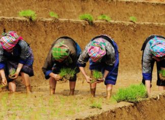 إحنا بنشتغل ليه؟