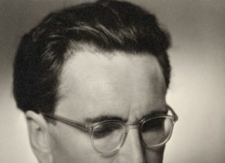 من إنسان إلى نمرة.. هنا ولد الإبداع