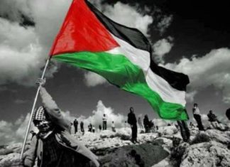 الأشواك في فلسطين تطرح ورودًا