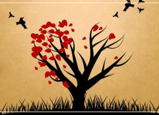 خمسة دروس في الوعي بالذات والشفاء