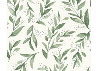 جدّ الزيتون