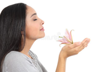 الحاسة السحرية للأمهات