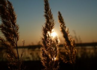 رأيت الله يقينًا وإيمانًا