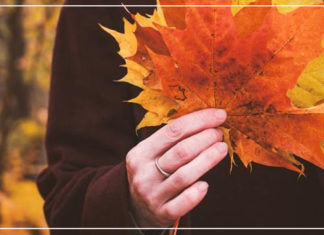 لقاء بعد فراق طويل! لحظات اللقاء بعد الفراق، كلمات عن اللقاء