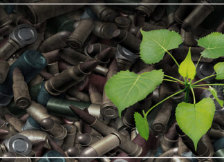 لنكن بإبداعنا أكبر من الحياة