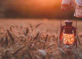 هل ما تسعى إليه يسعى إليك حقًا؟ السعي