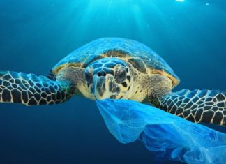 نصائح واقعية للحفاظ على كوكب الأرض من البلاستيك Plastic