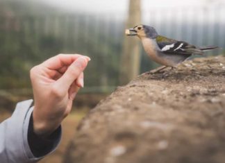 الأمان حق مشروع للجميع الأمان