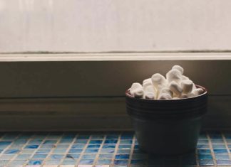 هل تناولتِ حلوى المارشيميلو يا عزيزتي؟