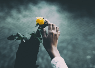 النجاة من كرب ما بعد الصدمة النجاة من كرب ما بعد الصدمة