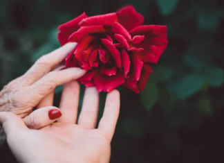 تأثيرالصدمة النفسية على الدماغ، أعراض الصدمة النفسية، علاج الصدمة النفسية وفاة جدتي