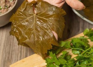 بهجة المحشي: ورق العنب على طريقتي الخاصة المحشي