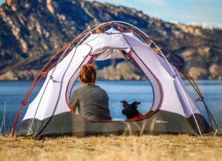 هكذا أحببت العزلة العزلة