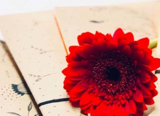 الرسالة الأولى: لن نموت ساكتين الرسالة